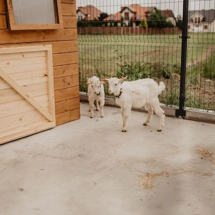 Przedszkole Sensoryczne we Wrześni „Akademia Serdeczna”: Dla Lepszego Rozwoju Dzieci